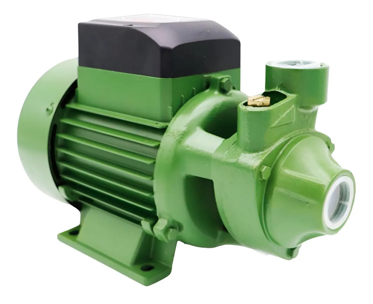 Bomba Periférica Residencial Schneider Pg-10 1cv 2400litro/h Cor Verde Fase Elétrica Monofásica Frequência 60