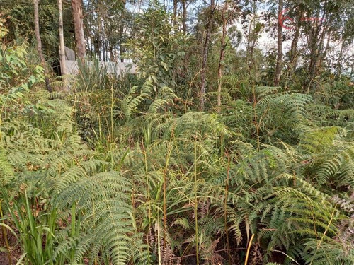 Imagem 1 de 8 de Terrenos Para Venda Em Mairiporã No Bairro Village Estoril - 1477115
