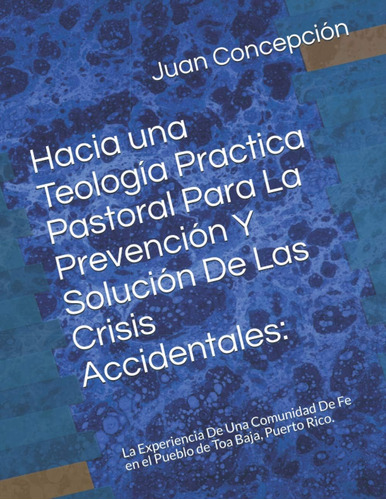 Libro Hacia Una Teología Practica Pastoral Para La Prevenció