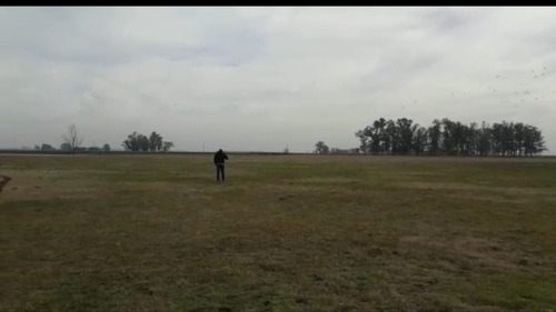 Campo Ganadero : Saladillo ,57,37 Hectáreas