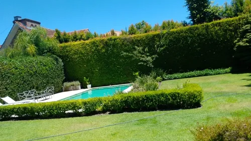 Mantenimiento De Jardín
