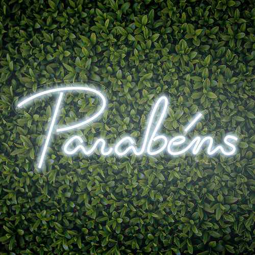 Painel Neon Led Parabens Escrita Aniversario Decoração Cor Branco Frio 110v/220v