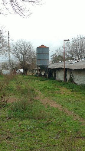 Imagen 3 de 4 de Chacra - Carmen De Areco
