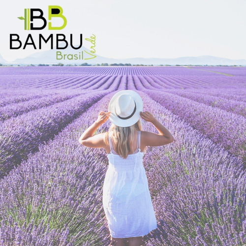 Imagem 3 de 5 de Aromatizador De Ambiente Home Spray Aroma Cheirinho Lavanda
