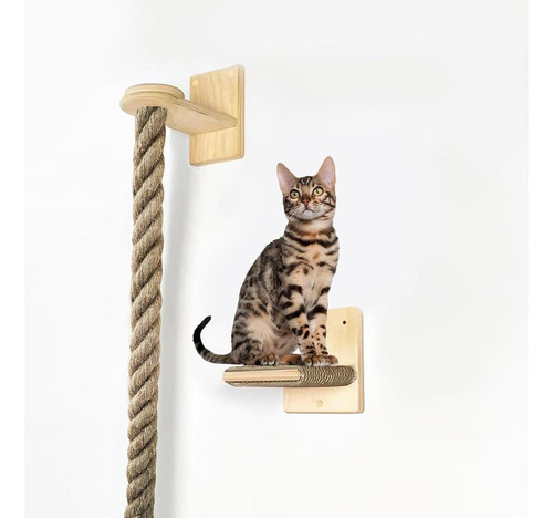 Gat Racando Post Post Rope Molhada De Parede 63 Pulh