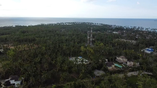 Vendo Terreno De 4,000 Metros En La Bobita, Terrenas De Samaná, República Dominicana