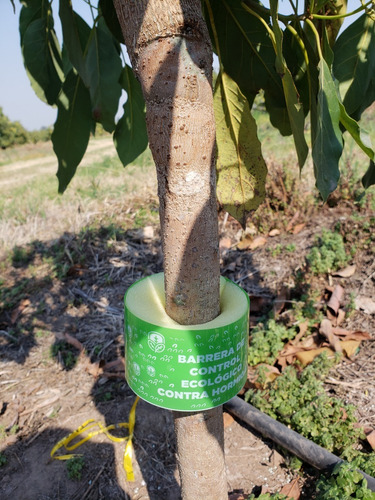 Barrera Contra Hormigas Sin Venenos Ecostop!!! X 7 Metros