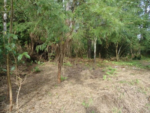 Terreno Em Aberta Dos Morros - Mi12604