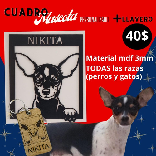 Mascota Cuadro  Personalizado+llavero