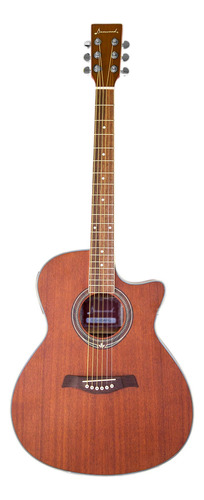 Guitarra Electroacústica Danwood Pastilla C Afinador Y Ecual