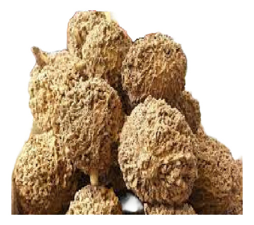 1 Kilo De Te Granjel Fruto