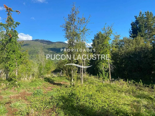 Parcela Sector Pte Luengo Caburga (agua/luz) (170307)