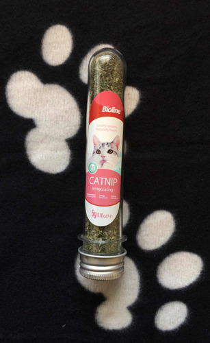 Catnip