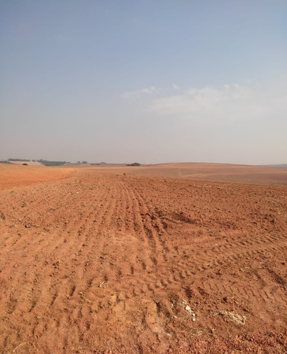 Imagem 13 de 14 de Vendo Fazenda Para Cultura Regiao De Araxa ( 6156 )