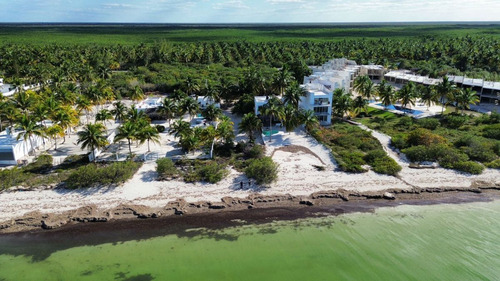 Terreno Frente Al Mar De San Crisanto Yucatán