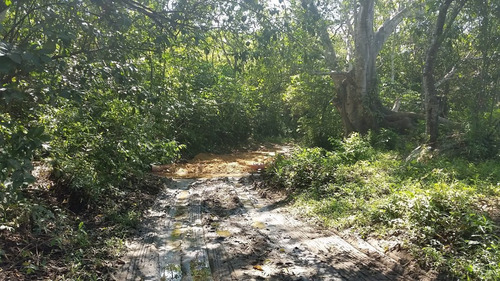 Imagen 6 de 12 de Rancho Las Piedras