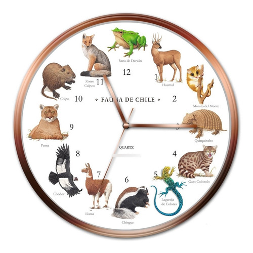 Reloj Pared Fauna Chilena Andes1