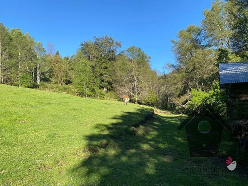 Parcela Con Casa E Instalaciones, 1 Hectarea