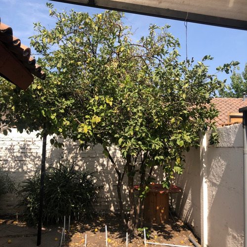 Imagen 19 de 24 de Venta Casa 4 Dormitorios De Dos Pisos
