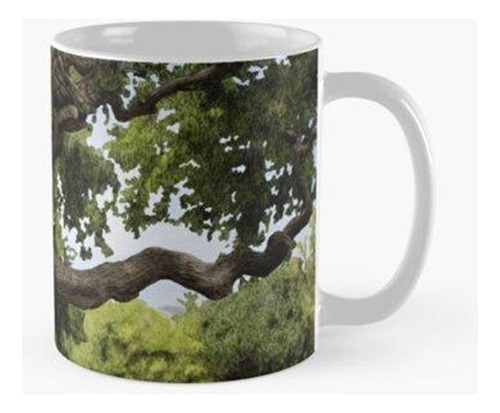 Taza El Árbol Generoso Del País De Nunca Jamás Calidad Premi