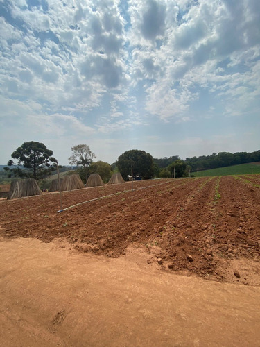 Imagem 23 de 30 de O06- 500m² Em Atibaia