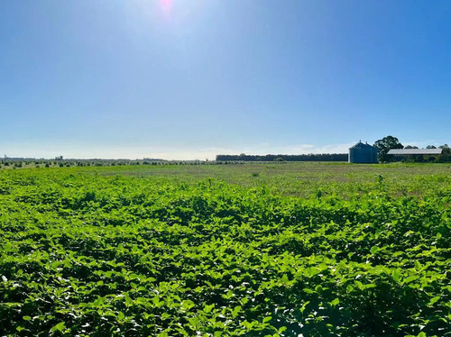 Campo En Venta - 2 Dormitorios 1 Baño - 23.900mts2 - Lobos