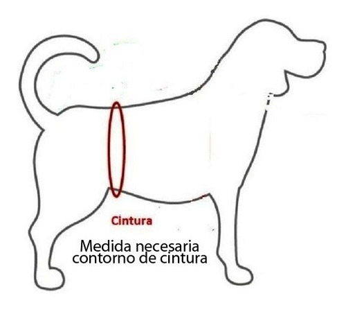 Imagen 6 de 10 de Arnes Rehabilitacion Perros Cadera Displacia