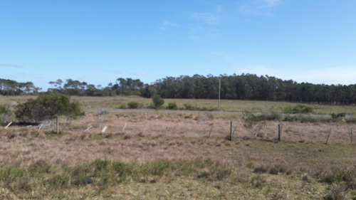 Venta Terreno10 Ha Sobre Ruta 10 En Oceanía Del Polonio, Rocha