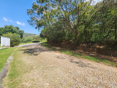 Venta De Lote San Diego 8 Sobre Boulevard Muy Cerca De Las Amenidades Y Del Hotel Del Fracc Rancho San Diego Ixtapan De La Sal Edomex. Se Incluye Proyecto