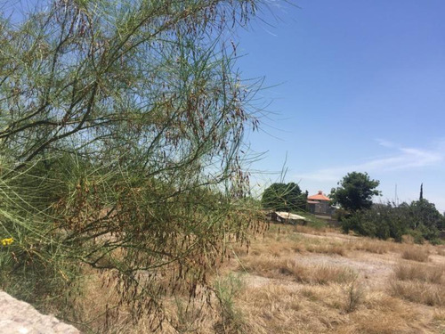 Terreno En Venta En Lerdo Centro, Lerdo, Durango