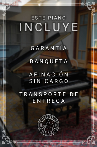 Piano Steinway Sons Cola (garantía + Traslado + Afinación) Pluma De Caoba