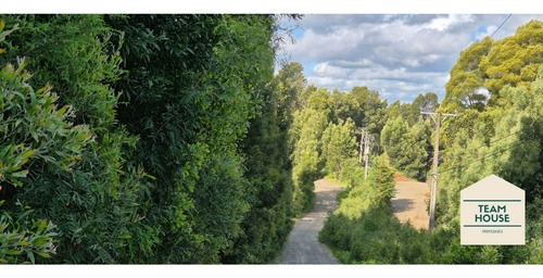 Parcela Condomio Los Aromos (torobayo) Valdivia