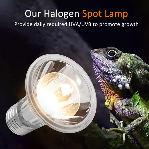 Lámpara Calefactora Solar Para Reptiles Con Forma De Lagarto