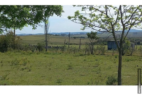 Imagen 21 de 23 de Chacra 8 Ha En San Carlos, Punta Del Este Zona Corte De La Leña Cañada Bellaca