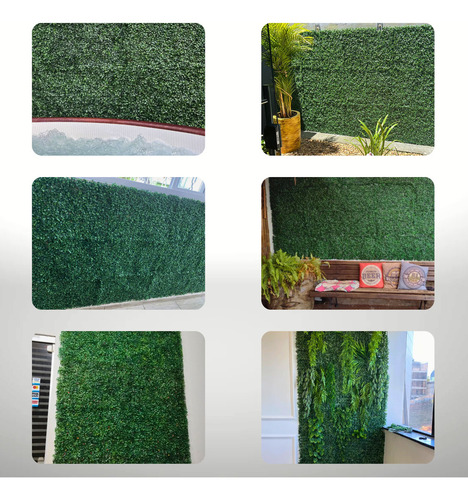 Kit 35 Placa De Buchinho 40x60 Jardim Vertical Artificial