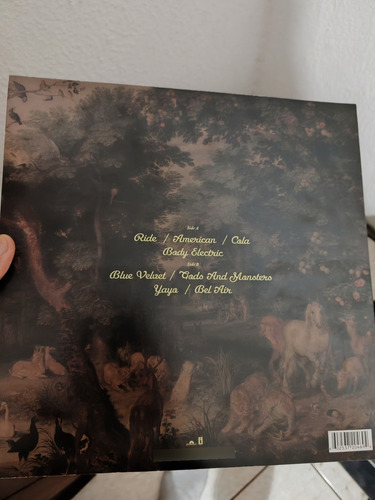Disco Vinil Lana Del Rey (Usado)