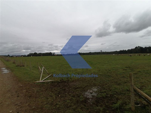 Agrícola Ganadero En Venta En Los Muermos
