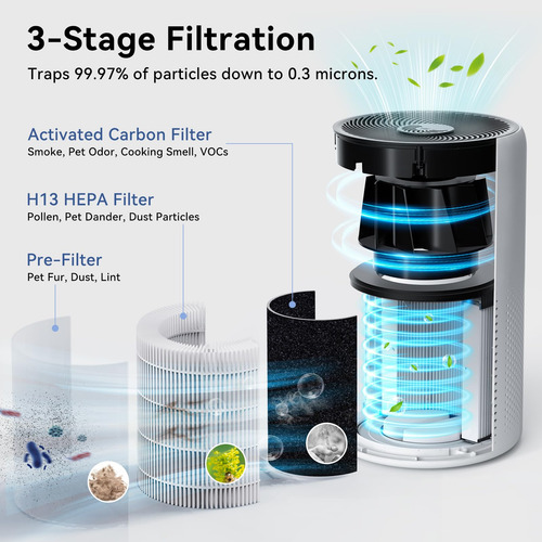 Purificador De Aire Tailulu D10 Hepa Para Habitación Grande