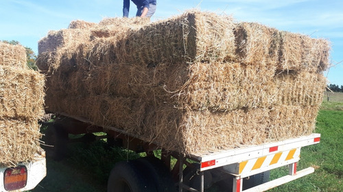 Imagen 3 de 5 de Fardos De Alfalfa.