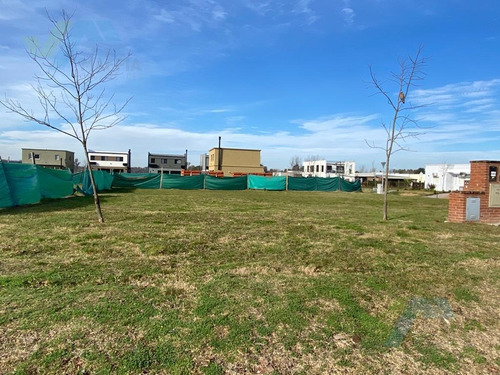 Imagen 3 de 23 de Terreno - Countries/b.cerrado (manzanares)