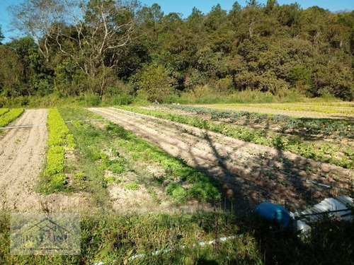 Imagem 17 de 30 de Chácara Com 4 Dormitórios À Venda, 8750 M² Por R$ 800.000,00 - Capelinha - Guarulhos/sp - Ch0015
