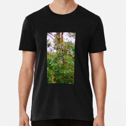 Remera Bosque Pino Fruta Azul Verde Árbol Belleza  Algodon P