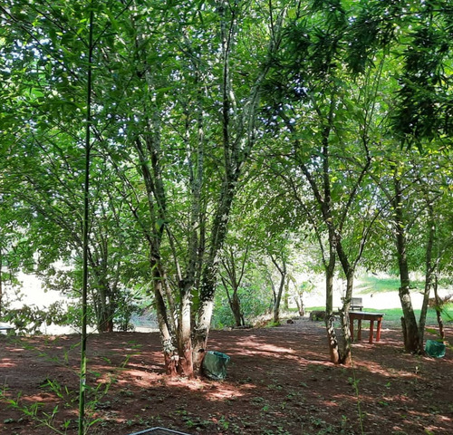 Quinta-camping-s.isidro-pdas.mnes.casa-3 Lagos C/peces-.ting