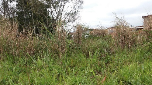 Bom Terreno No Jd Valéria Itanhaém/sp | 4692 Fr