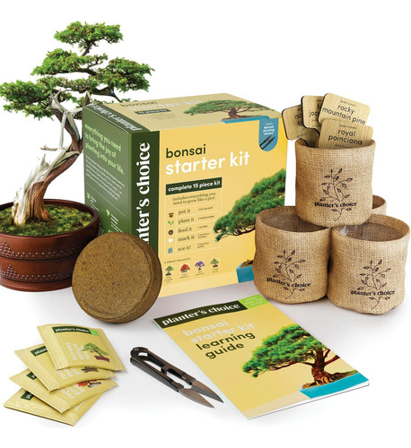 Kits Para Empezar Un Bonsái Con Árbol Y Herramientas De Adul