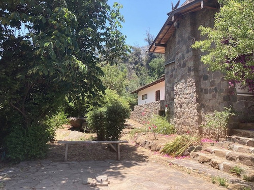 Camino El Cajón Con Las Acacias