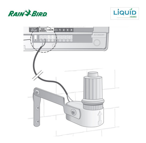 Imagen 4 de 6 de Sensor De Lluvia Rain Bird Rsd - Automatico - 5 A 20mm