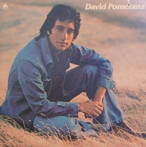 David Pomeranz - Its In Everyone... ( Vinilo / Usado / Imp.)