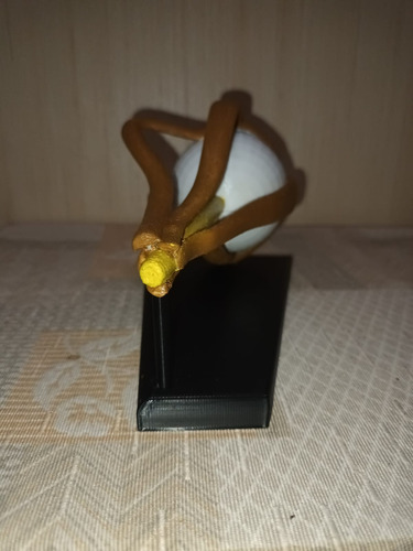 Anatomía Ojo Humano