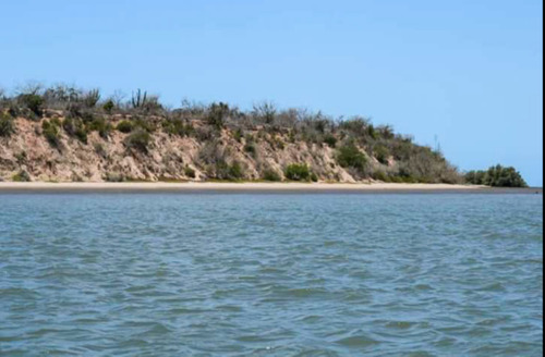 Sinaloa Isla De Tachichitle Terreno Venta Angostura
